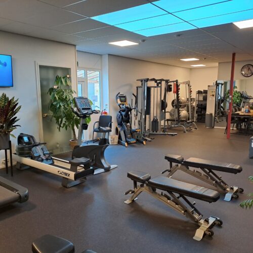 Sportfysio van Lierop Loenen 1